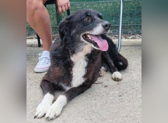 SCARLET sehnt sich so nach Liebe