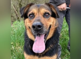 ZEUS wurde im Stich gelassen