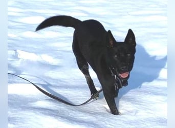 DANTE liebt Menschen