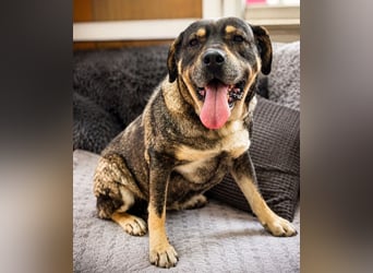Sasha - bequeme Maus sucht dich!