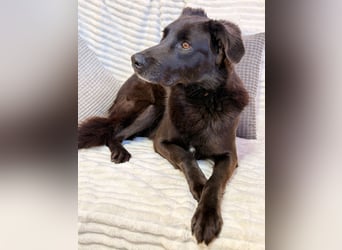 Oliver - will nicht mehr unsichtbar sein!