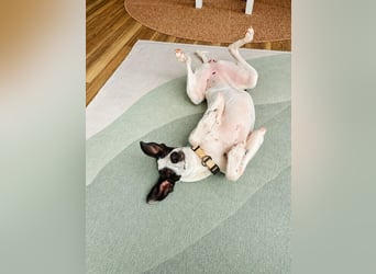 Molly - möchte endlich ankommen!