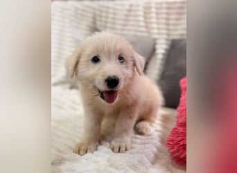 Hilda - will dich verzaubern!
