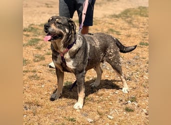 Sasha - bequeme Maus sucht dich!