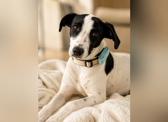Molly - möchte endlich ankommen!