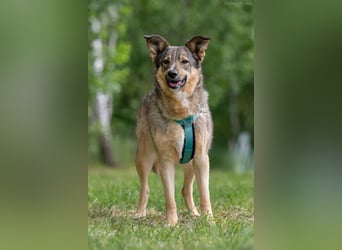 Liebevolle Najda sucht ihre Familie