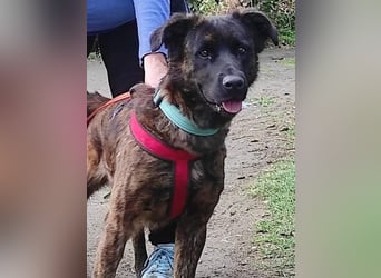 Lexi wartet sehnlichst auf ihre 2. Chance