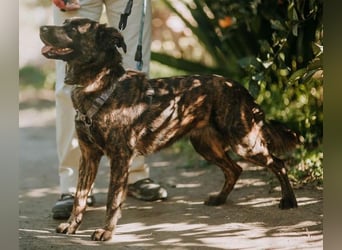 Lexi wartet sehnlichst auf ihre 2. Chance