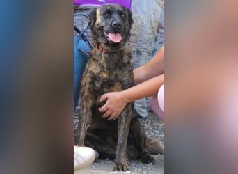 LEXI wartet sehnsüchtig auf ihre 2. Chance