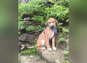 MAVERICK ist bereit für seine Familie