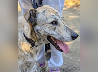 Draco wartet auf seine 2. Chance