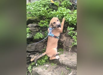 MAVERICK ist bereit für seine Familie