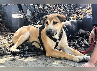MAVERICK ist bereit für seine Familie