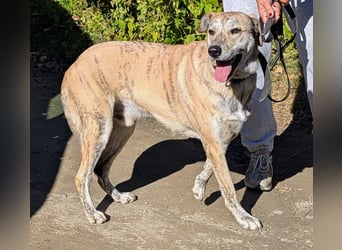 Draco wartet auf seine 2. Chance