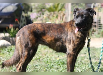 Lexi wartet sehnlichst auf ihre 2. Chance