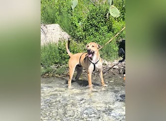 MAVERICK ist bereit für seine Familie