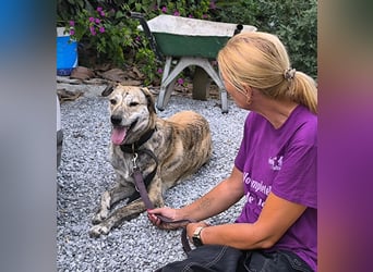 Draco wartet auf seine 2. Chance