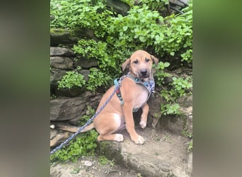 MAVERICK ist bereit für seine Familie