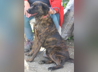 LEXI wartet sehnsüchtig auf ihre 2. Chance