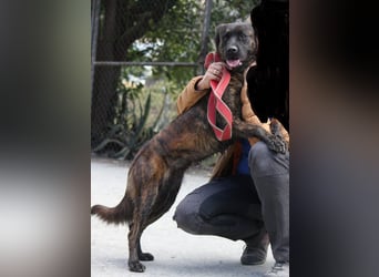 Lexi wartet sehnlichst auf ihre 2. Chance