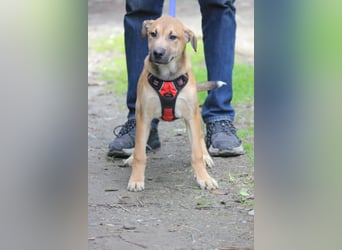 MAVERICK ist bereit für seine Familie