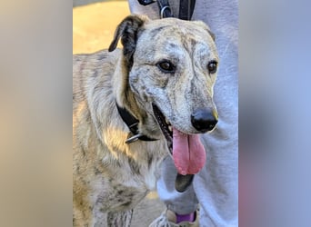 Draco wartet auf seine 2. Chance