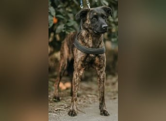 LEXI wartet sehnsüchtig auf ihre 2. Chance