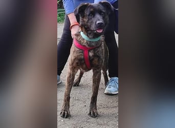 LEXI wartet sehnsüchtig auf ihre 2. Chance