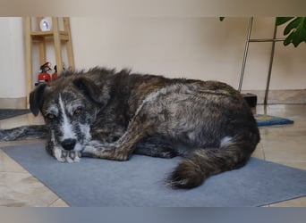 Luke: seine Gelassenheit ist unbeschreiblich