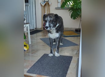 Luke: seine Gelassenheit ist unbeschreiblich