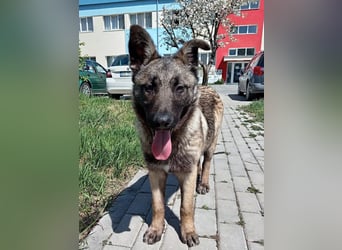 Leia möchte so gerne ankommen!!