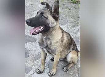 Leia möchte so gerne ankommen!!