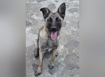 Leia möchte so gerne ankommen!!