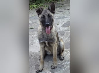 Leia möchte so gerne ankommen!!
