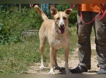 Avela, eine intelligente und durchsetzungsfähige Persönlichkeit