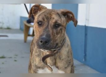 Kiara