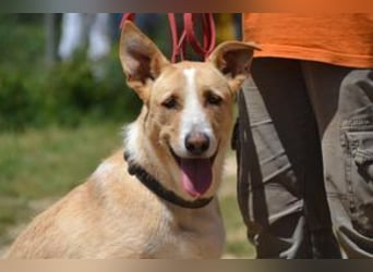 Avela, eine intelligente und durchsetzungsfähige Persönlichkeit