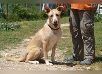 Avela, eine intelligente und durchsetzungsfähige Persönlichkeit