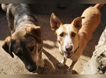 Avela, eine intelligente und durchsetzungsfähige Persönlichkeit