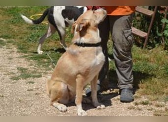 Avela, eine intelligente und durchsetzungsfähige Persönlichkeit