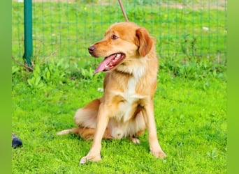 Barro - voller Leben und Herzenswärme