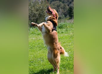 Barro - voller Leben und Herzenswärme