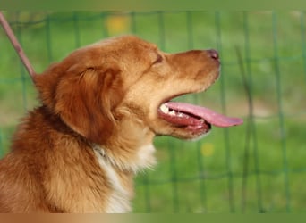 Barro - voller Leben und Herzenswärme