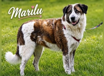 Marilu - voller Liebe