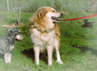 Rolex – anhänglich und aufgeschlossen