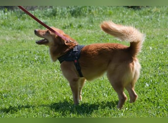 Barro - voller Leben und Herzenswärme