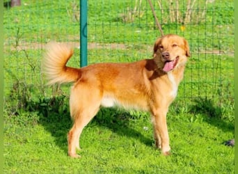 Barro - voller Leben und Herzenswärme