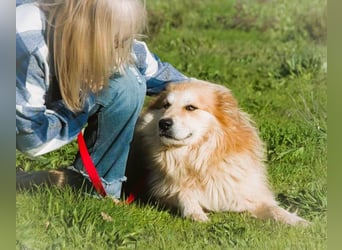 Rolex – anhänglich und aufgeschlossen