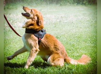 Barro - voller Leben und Herzenswärme