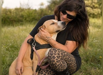 Bachi - ein liebenswerter Schatz